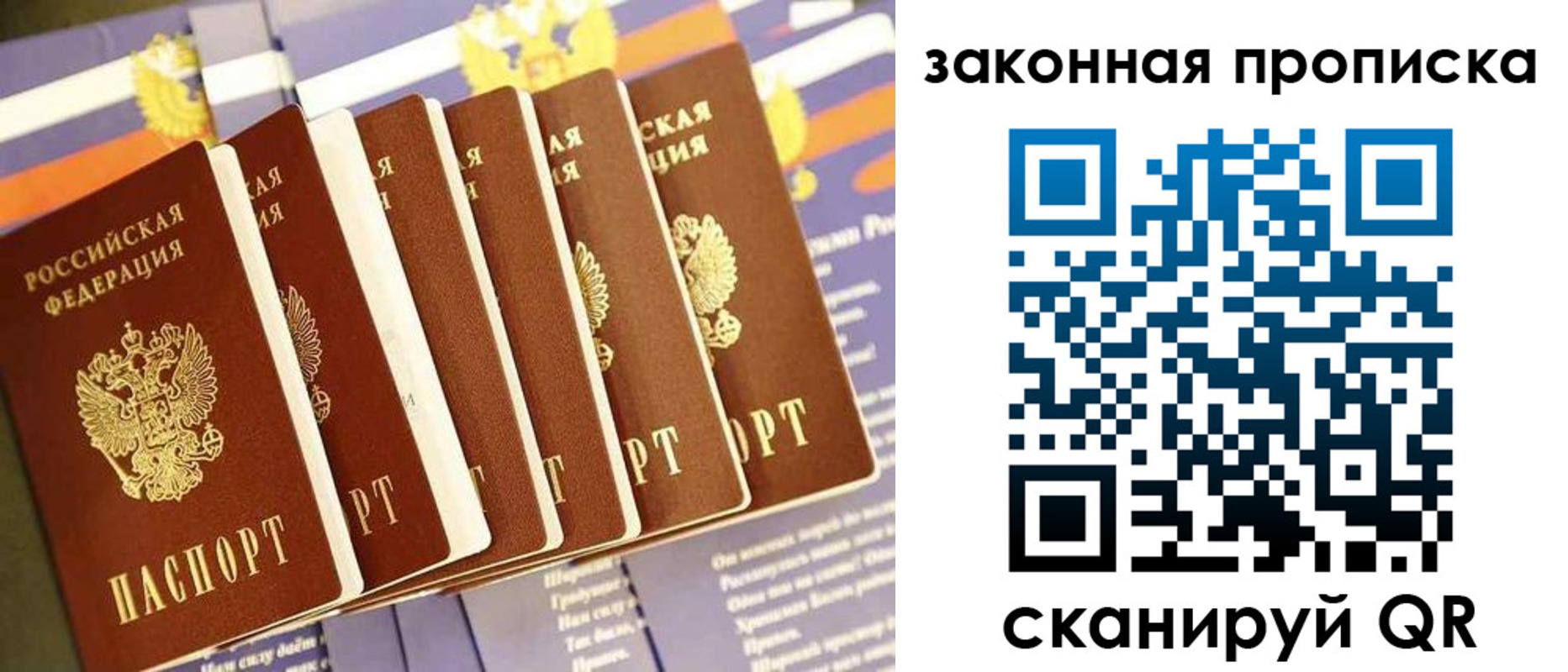 прописка ребенка в Кольчугино